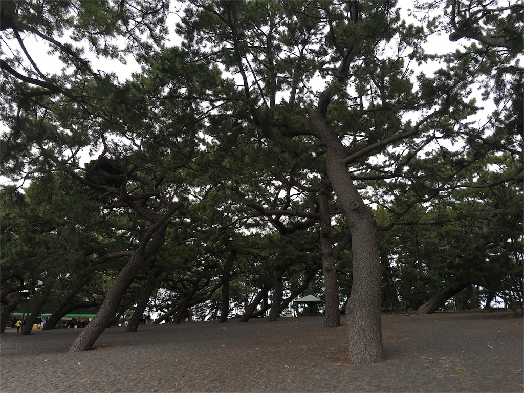 f:id:snaocy36:20151031203345j:image f:id:snaocy36:20151031203345j:image
