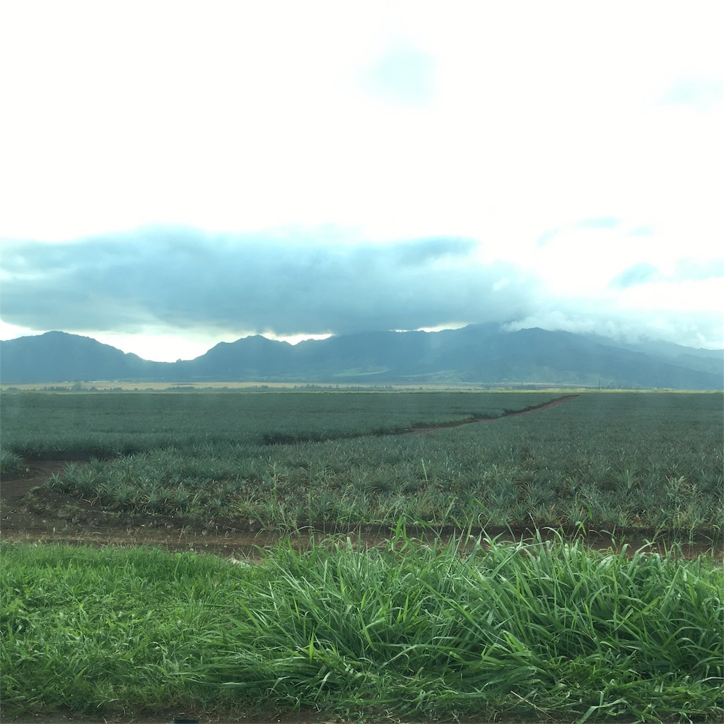 f:id:snaocy36:20151218121455j:image f:id:snaocy36:20151218121455j:image