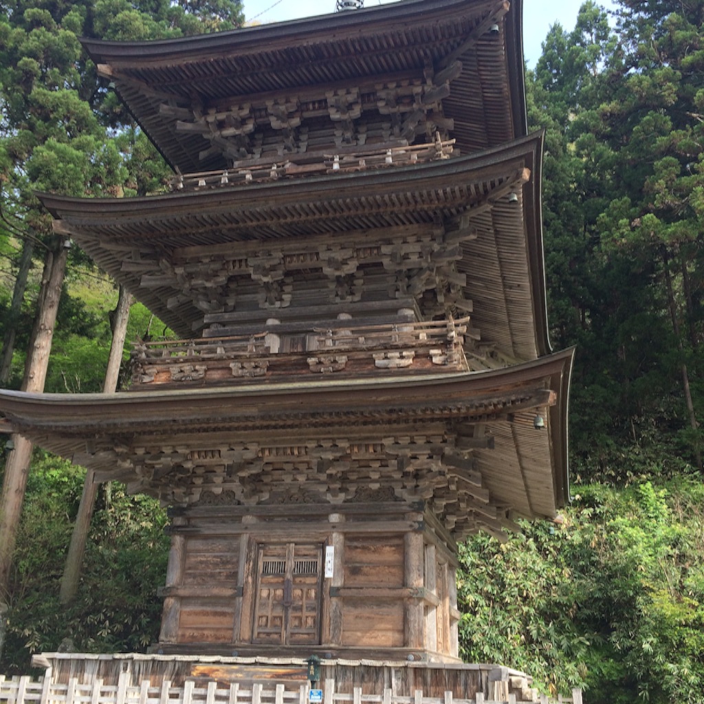 f:id:snk45megurin:20160508193650j:image f:id:snk45megurin:20160508193650j:image