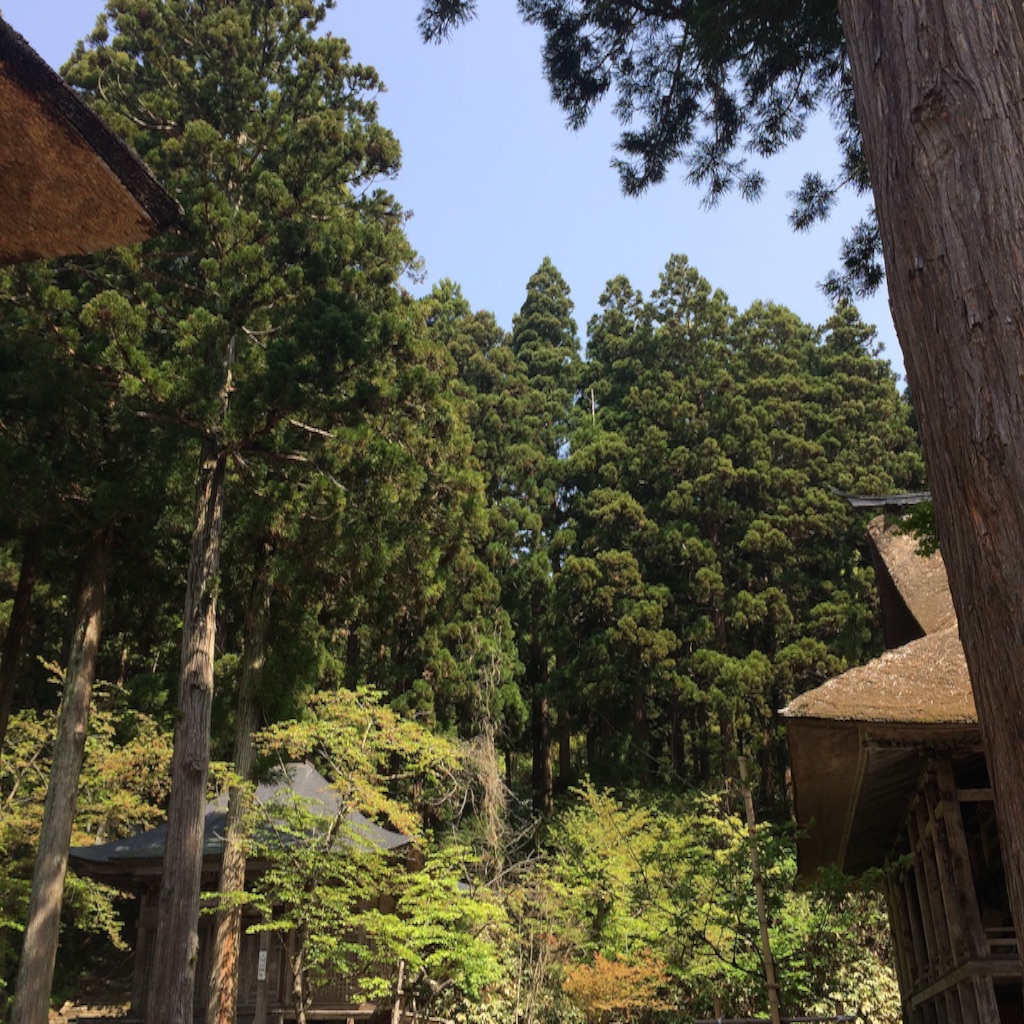 f:id:snk45megurin:20160508195956j:image f:id:snk45megurin:20160508195956j:image