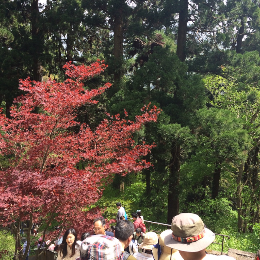 f:id:snk45megurin:20160509114000j:image f:id:snk45megurin:20160509114000j:image