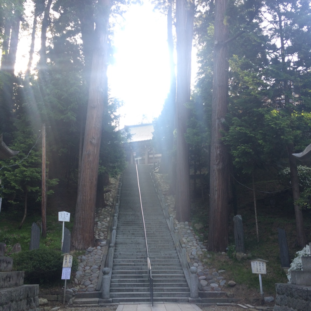 f:id:snk45megurin:20160516211610j:image f:id:snk45megurin:20160516211610j:image