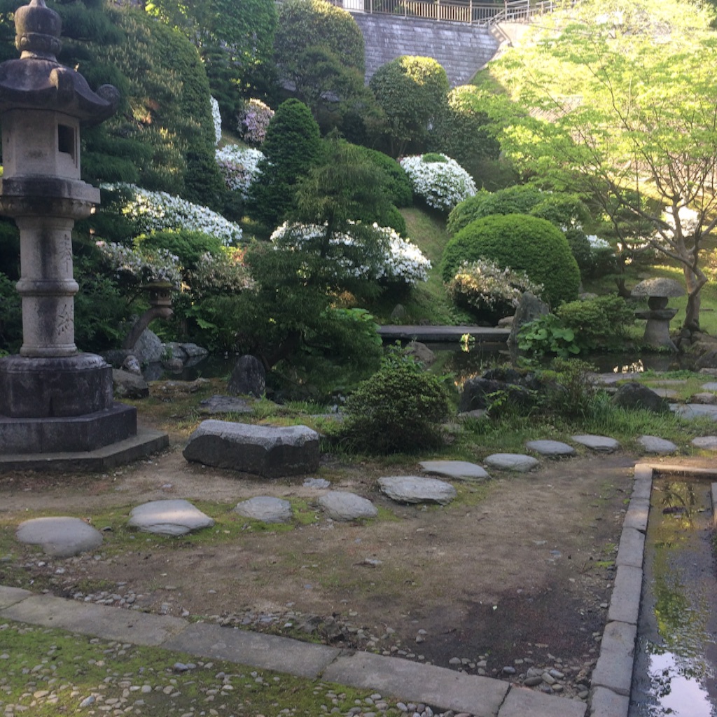 f:id:snk45megurin:20160516211736j:image f:id:snk45megurin:20160516211736j:image