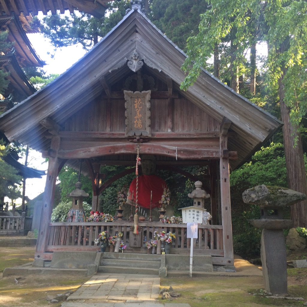 f:id:snk45megurin:20160516212005j:image f:id:snk45megurin:20160516212005j:image