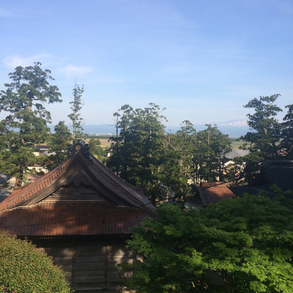f:id:snk45megurin:20160516212324j:image f:id:snk45megurin:20160516212324j:image
