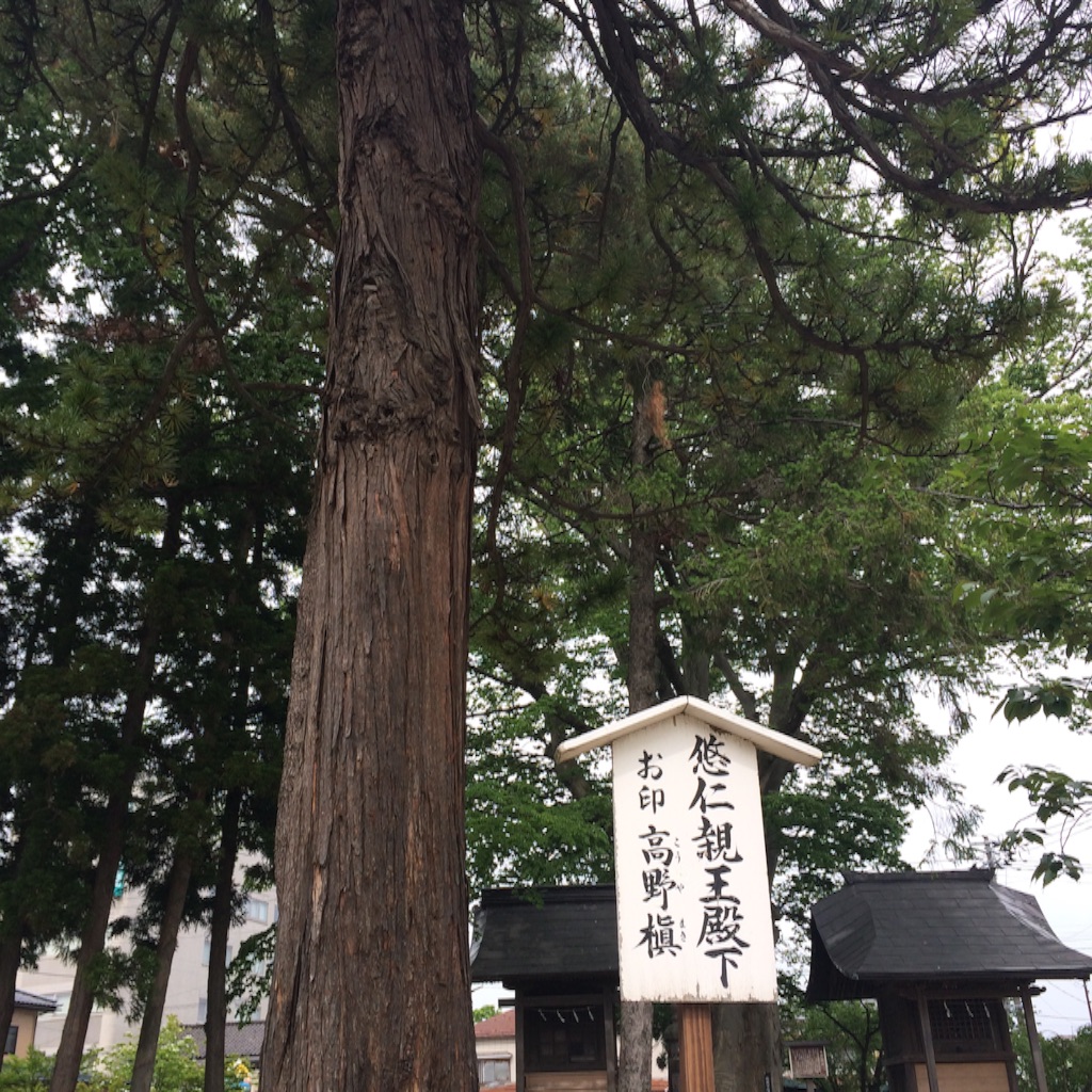 f:id:snk45megurin:20160529165049j:image f:id:snk45megurin:20160529165049j:image