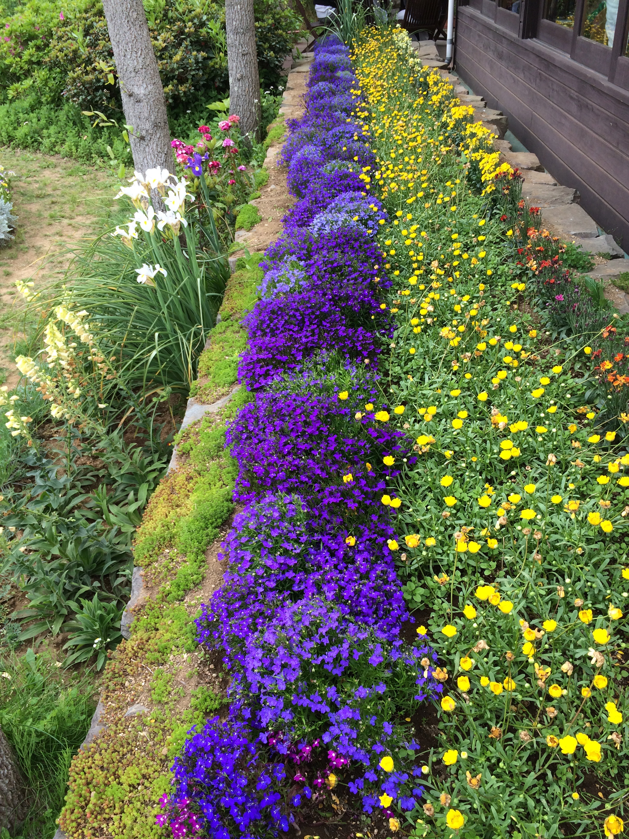 f:id:snowflakesonnose:20150505074831j:image f:id:snowflakesonnose:20150505074831j:image