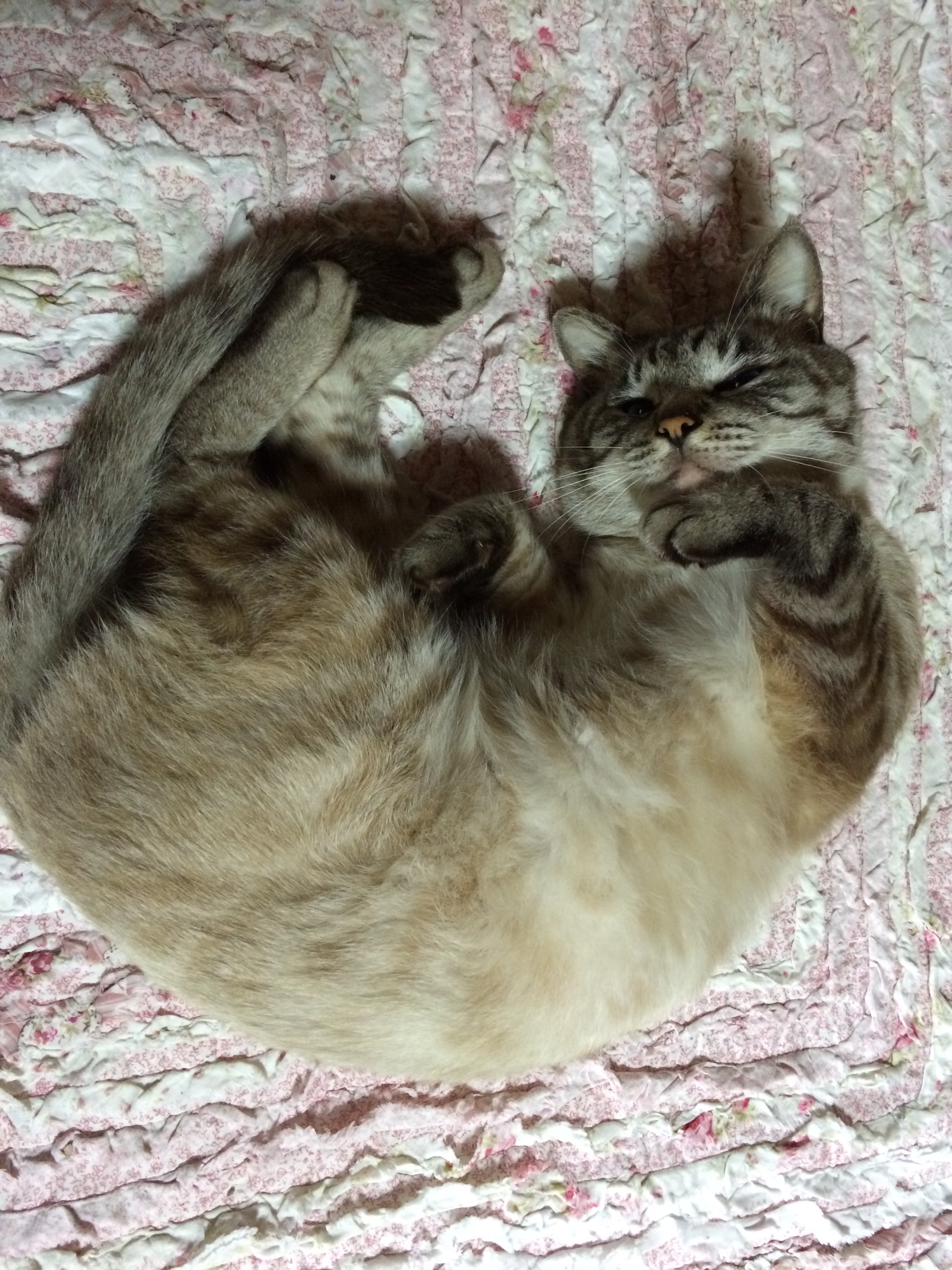 f:id:snowflakesonnose:20150505075933j:image f:id:snowflakesonnose:20150505075933j:image