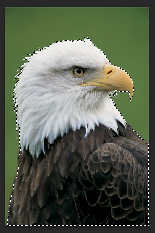 f:id:sntkk3:20140601220834p:image f:id:sntkk3:20140601220834p:image