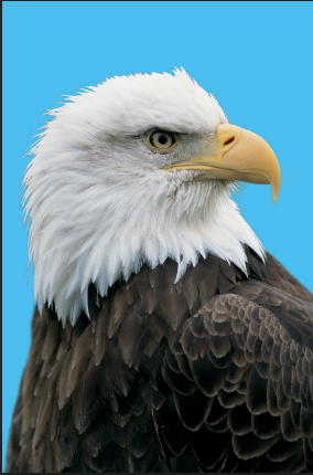 f:id:sntkk3:20140601220836p:image f:id:sntkk3:20140601220836p:image