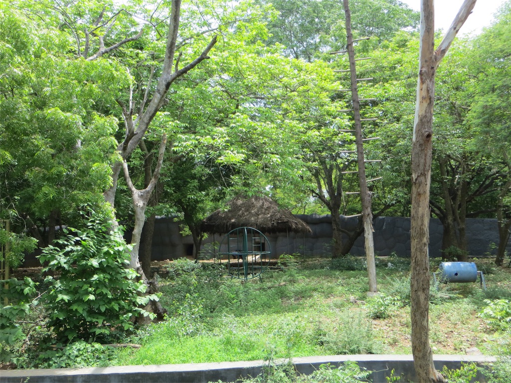 f:id:sobakaschan:20160705020339j:image f:id:sobakaschan:20160705020339j:image