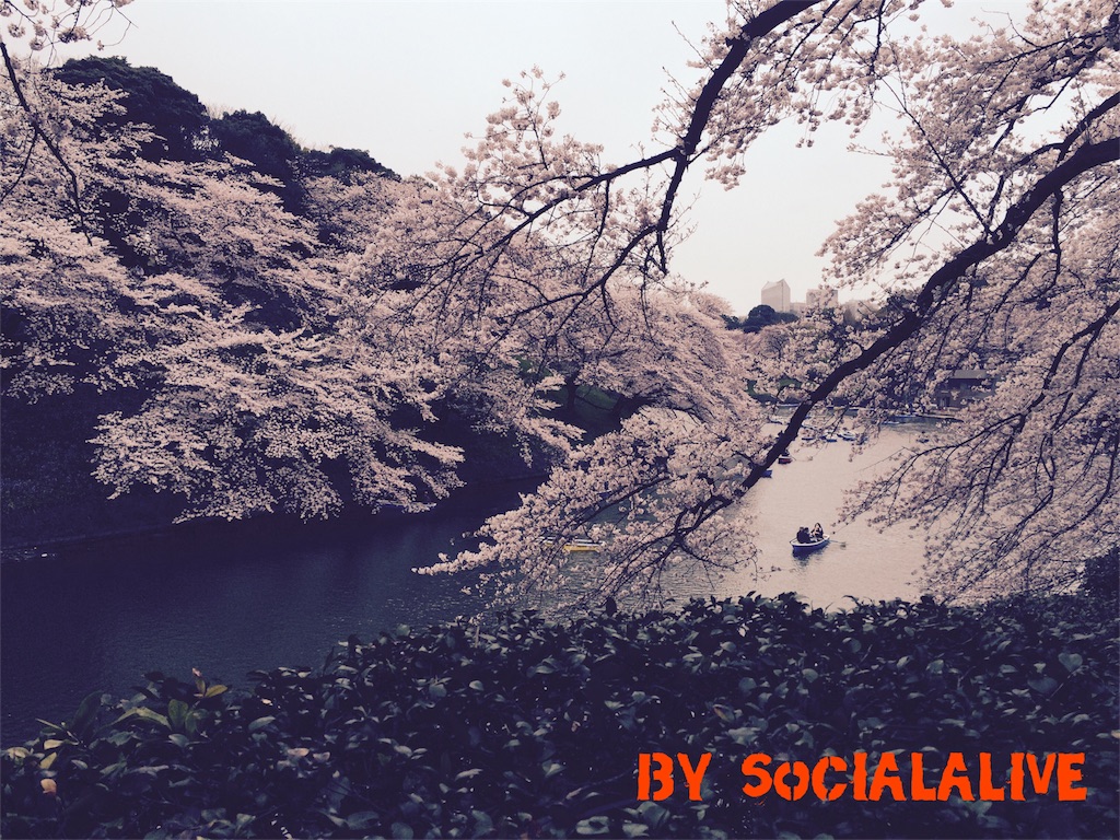 f:id:socialalive-yokohama:20160405003104j:image f:id:socialalive-yokohama:20160405003104j:image