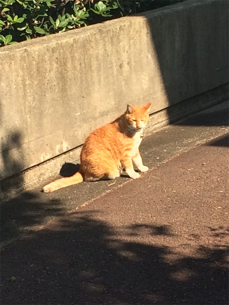 f:id:soiasla13296132:20151024005749j:image f:id:soiasla13296132:20151024005749j:image