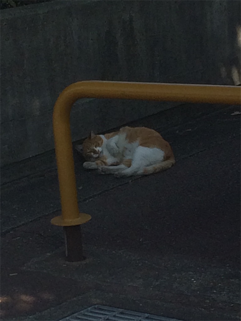 f:id:soiasla13296132:20151024010049j:image f:id:soiasla13296132:20151024010049j:image