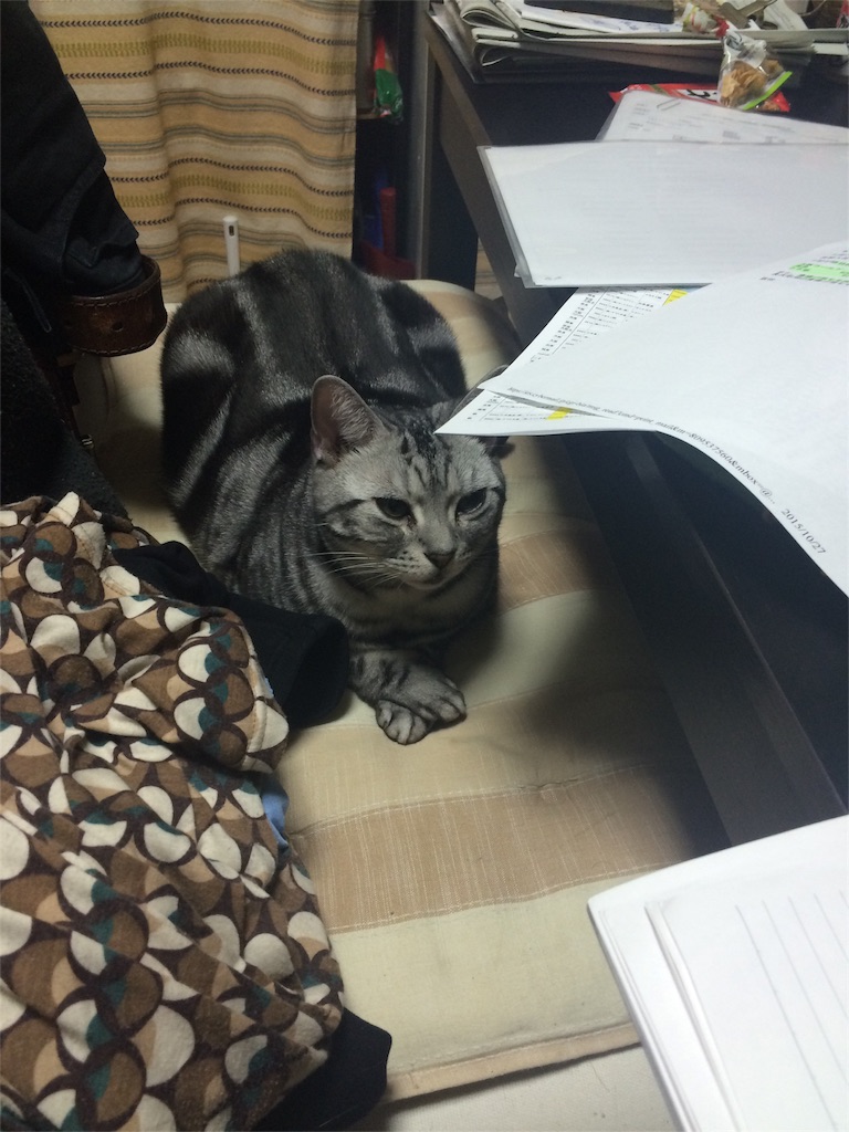 f:id:soiasla13296132:20151027223211j:image f:id:soiasla13296132:20151027223211j:image