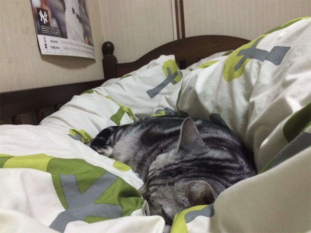 f:id:soiasla13296132:20151031232511j:image f:id:soiasla13296132:20151031232511j:image