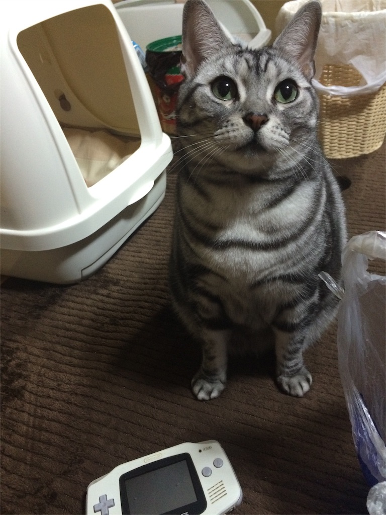 f:id:soiasla13296132:20151216220621j:image f:id:soiasla13296132:20151216220621j:image