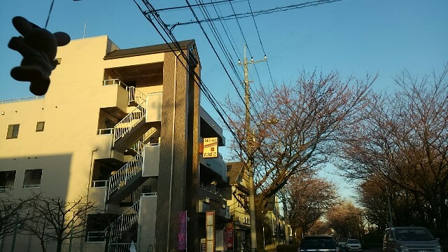 f:id:sokotujii:20150328063628j:image f:id:sokotujii:20150328063628j:image