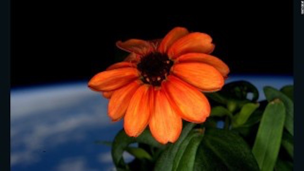 f:id:sol0520:20160502225817j:image f:id:sol0520:20160502225817j:image