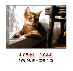 f:id:solaris58:20060312231554j:image f:id:solaris58:20060312231554j:image