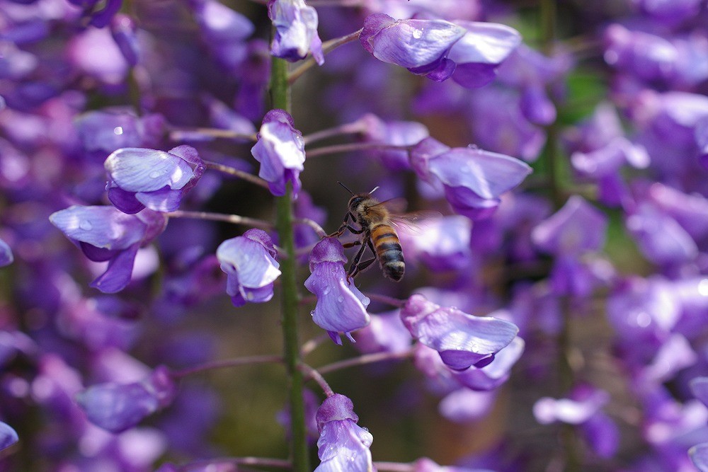 f:id:solaris58:20120507231756j:image:w640 f:id:solaris58:20120507231756j:image:w640