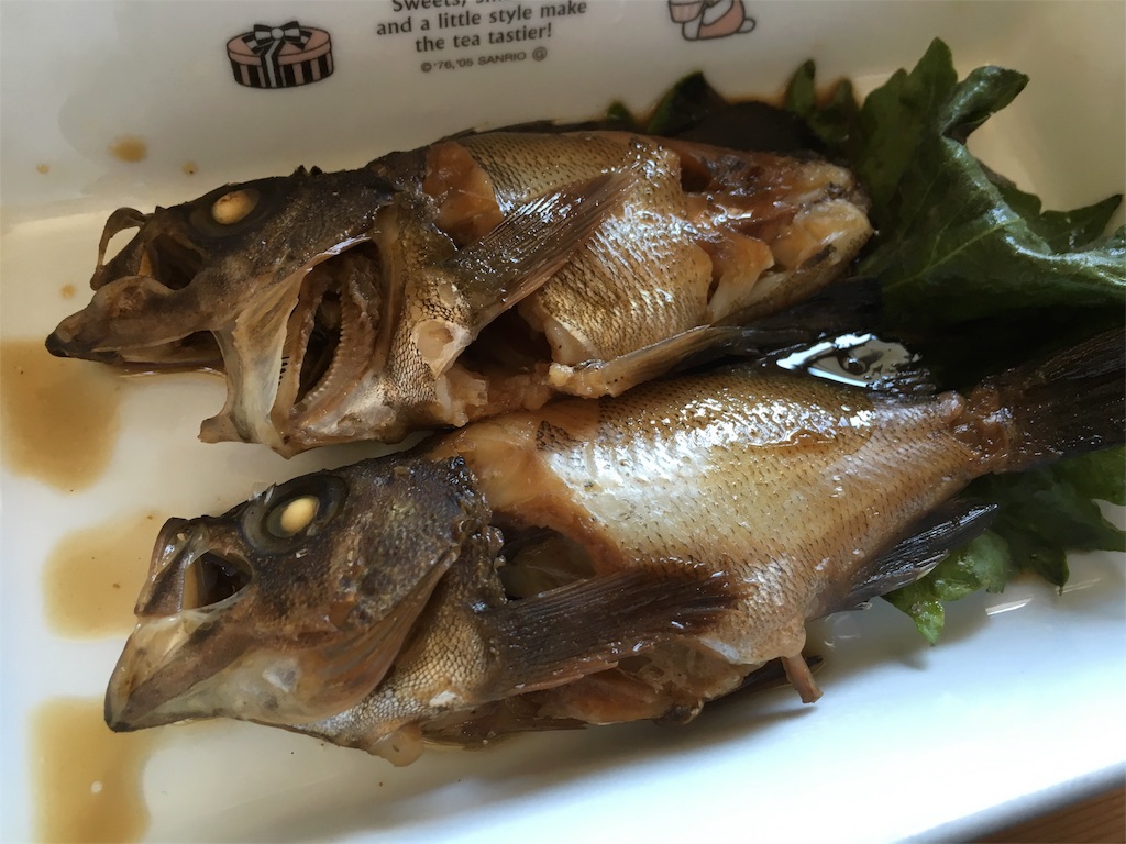 f:id:solt_sherry_angler:20160603125655j:image f:id:solt_sherry_angler:20160603125655j:image