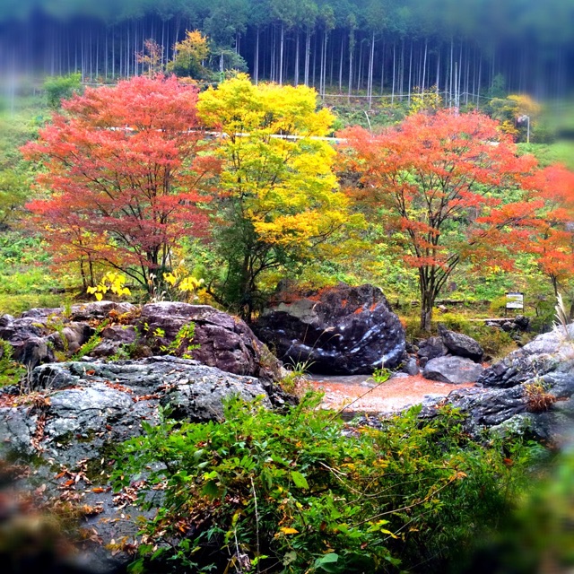 f:id:songispretty5551256:20150126003759j:plain f:id:songispretty5551256:20150126003759j:plain