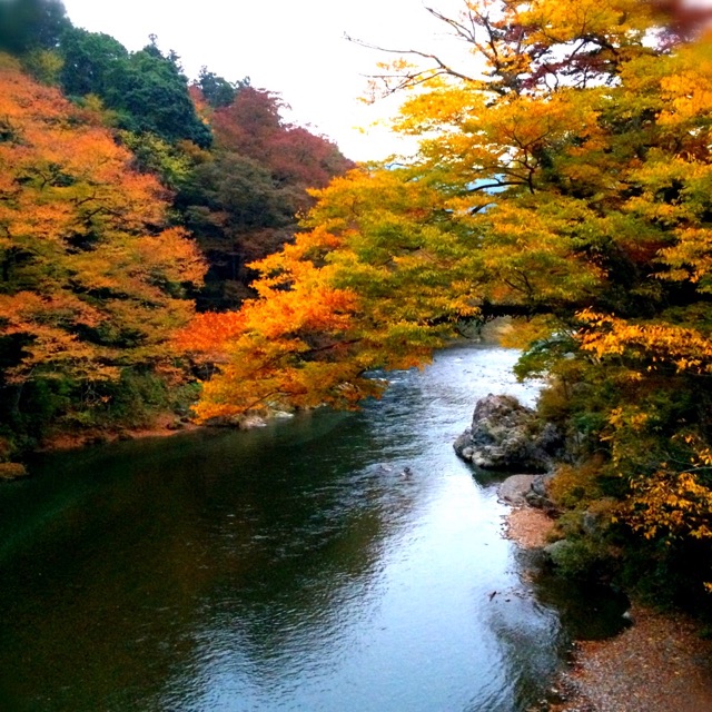 f:id:songispretty5551256:20150126004240j:plain f:id:songispretty5551256:20150126004240j:plain