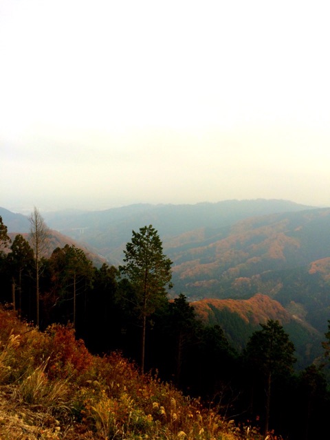 f:id:songispretty5551256:20150129143932j:plain f:id:songispretty5551256:20150129143932j:plain