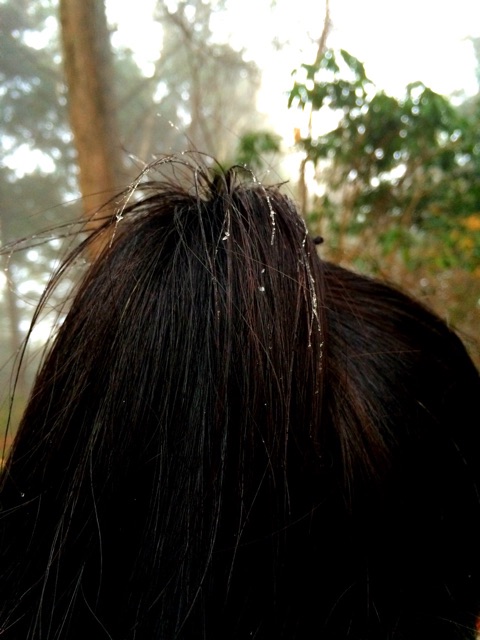 f:id:songispretty5551256:20150129210056j:plain f:id:songispretty5551256:20150129210056j:plain