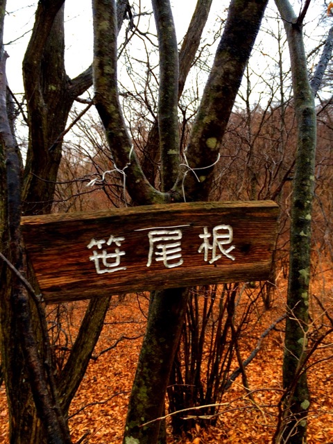 f:id:songispretty5551256:20150203204620j:plain f:id:songispretty5551256:20150203204620j:plain