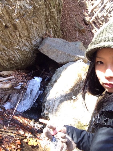 f:id:songispretty5551256:20150203233915j:plain f:id:songispretty5551256:20150203233915j:plain