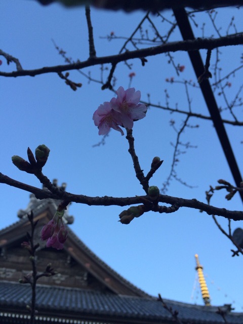 f:id:songispretty5551256:20150204002805j:plain f:id:songispretty5551256:20150204002805j:plain