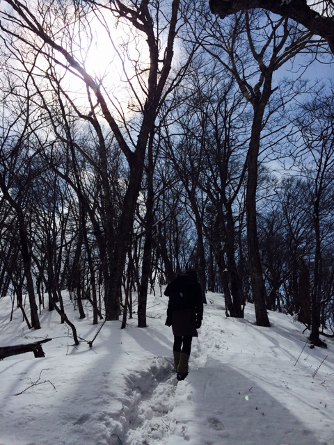 f:id:songispretty5551256:20150315211758j:plain f:id:songispretty5551256:20150315211758j:plain