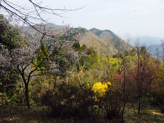 f:id:songispretty5551256:20150401205632j:plain f:id:songispretty5551256:20150401205632j:plain