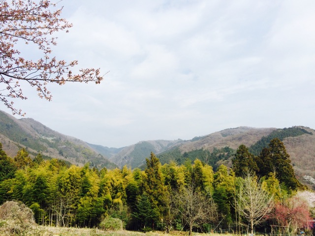 f:id:songispretty5551256:20150401205709j:plain f:id:songispretty5551256:20150401205709j:plain