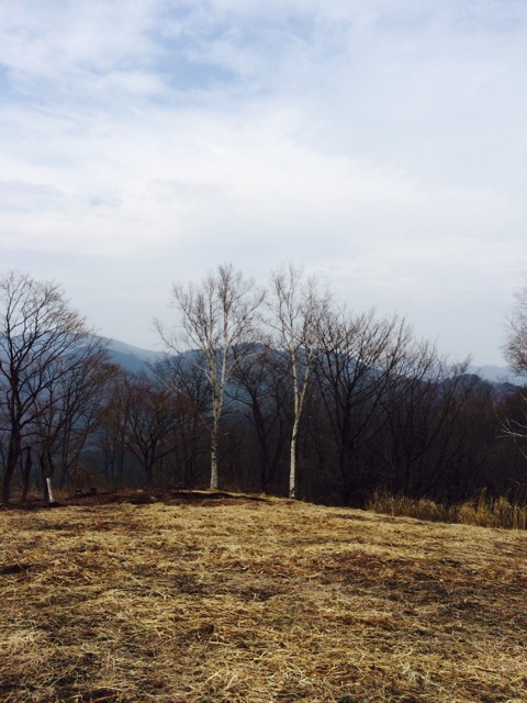 f:id:songispretty5551256:20150401214844j:plain f:id:songispretty5551256:20150401214844j:plain