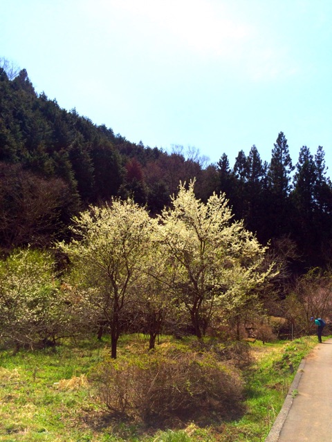f:id:songispretty5551256:20150406205326j:plain f:id:songispretty5551256:20150406205326j:plain