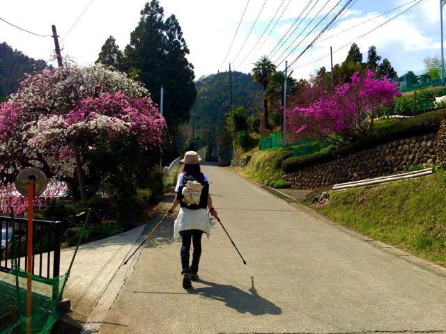 f:id:songispretty5551256:20150406223538j:plain f:id:songispretty5551256:20150406223538j:plain