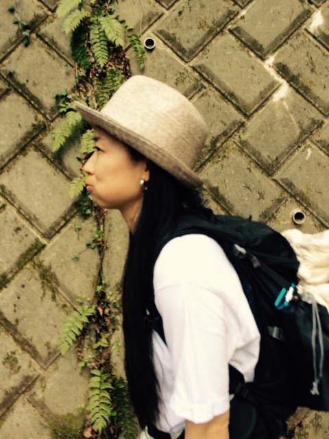 f:id:songispretty5551256:20150406225059j:plain f:id:songispretty5551256:20150406225059j:plain