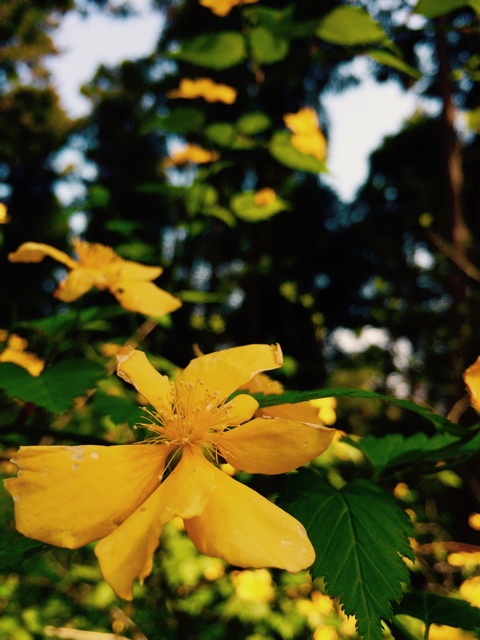 f:id:songispretty5551256:20150417220528j:plain f:id:songispretty5551256:20150417220528j:plain