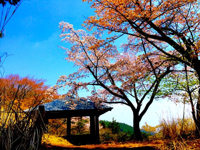 f:id:songispretty5551256:20150417225022j:plain f:id:songispretty5551256:20150417225022j:plain