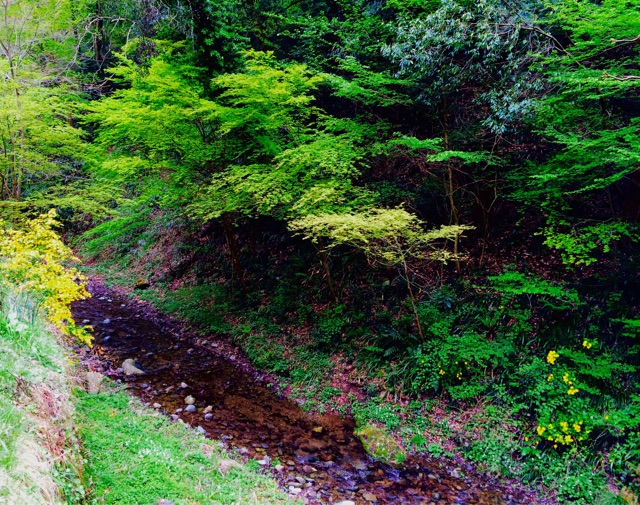 f:id:songispretty5551256:20150417231814j:plain f:id:songispretty5551256:20150417231814j:plain