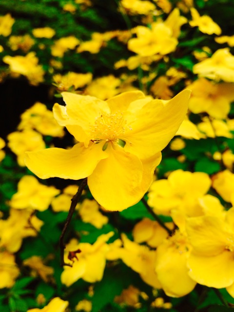 f:id:songispretty5551256:20150417231917j:plain f:id:songispretty5551256:20150417231917j:plain