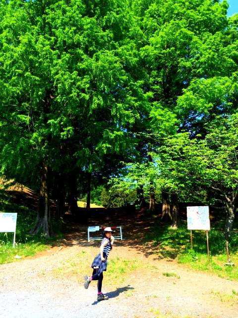 f:id:songispretty5551256:20150508164346j:image f:id:songispretty5551256:20150508164346j:image