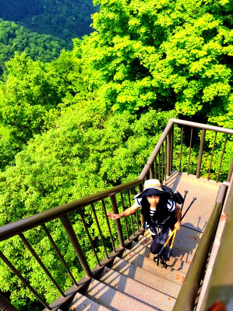 f:id:songispretty5551256:20150508192516j:image f:id:songispretty5551256:20150508192516j:image