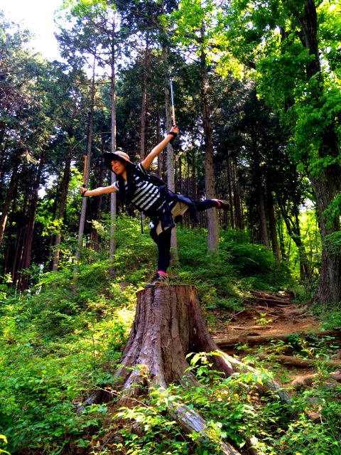 f:id:songispretty5551256:20150508194119j:image f:id:songispretty5551256:20150508194119j:image