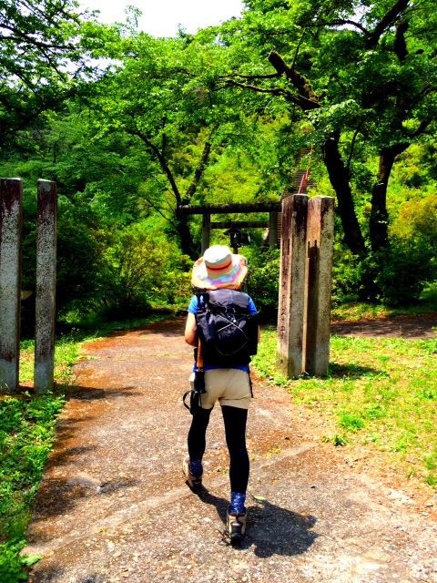 f:id:songispretty5551256:20150520175831j:image f:id:songispretty5551256:20150520175831j:image