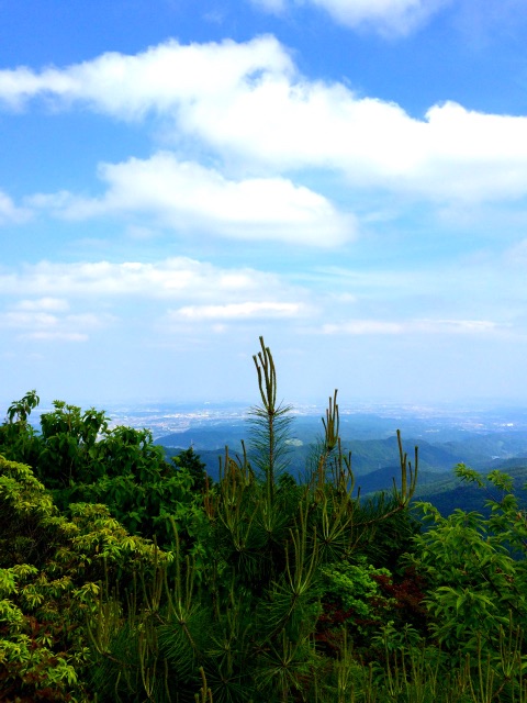 f:id:songispretty5551256:20150520201820j:image f:id:songispretty5551256:20150520201820j:image