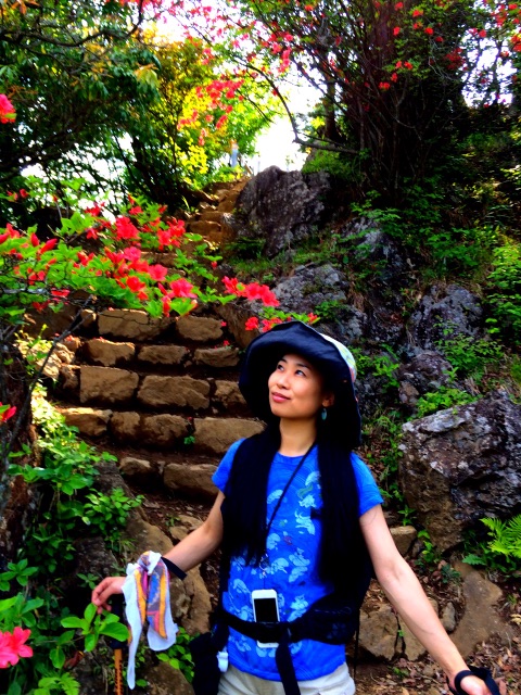 f:id:songispretty5551256:20150520210518j:image f:id:songispretty5551256:20150520210518j:image